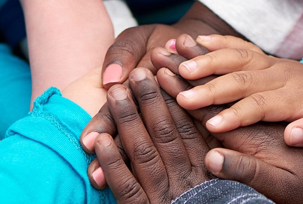 Non-Profits